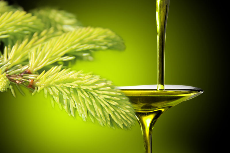 Aufguss Ätherische Öle, Fichtenzweig frisch