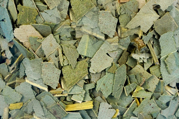 Eukalyptusblätter getrocknet