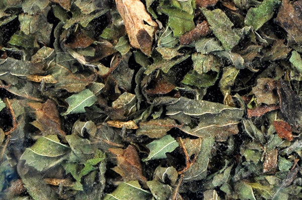 Pfefferminzblätter getrocknet