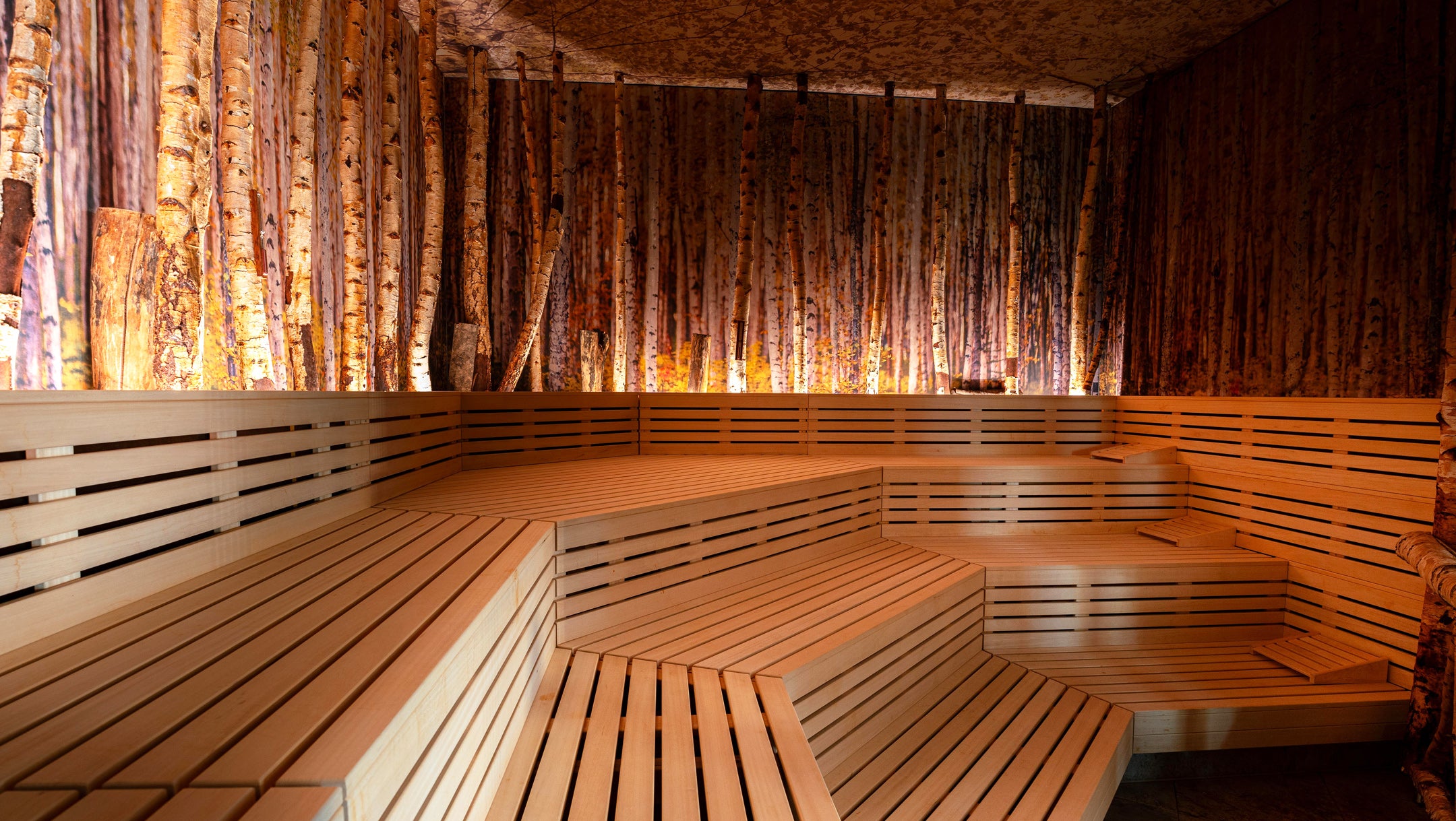 Referenz gewerblich, Badeparadies Titisee-Neustadt, Teil-Renovation von Birken-Sauna, Erneuerung der Saunabänke, Verstärkung der Unterkonstruktion