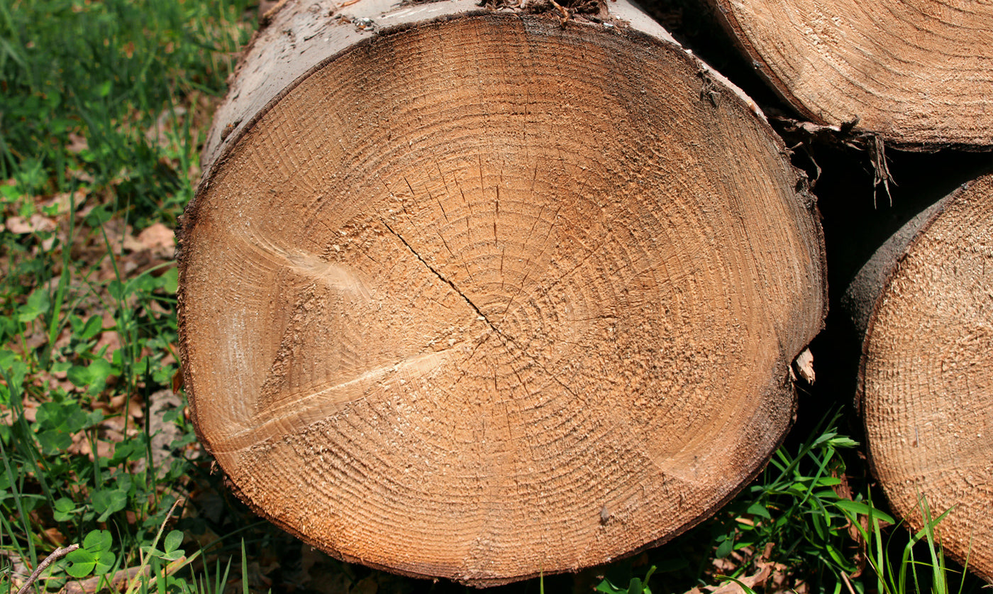 Nachhaltigkeit bei MANZ DÖBELE, die Renovation einer Saunaanlage ist eine nachhaltige Lösung und spart Ressourcen ein