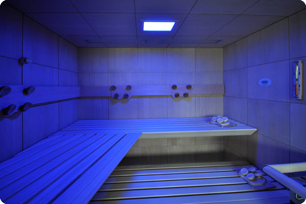 Saunabau Döbele - LED-Deckenfarblicht FL 101F, blau